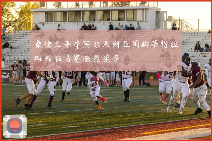桑德兰争夺阿尔及利亚国脚蒂特拉维面临马赛激烈竞争